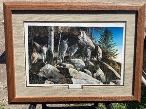 Rocky Outpost