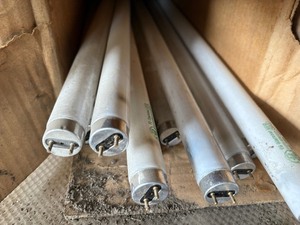 Fluorescent 4 ft bulbs