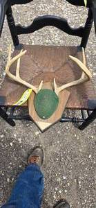 Antler Mount
