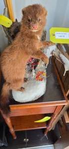 Mink Mount