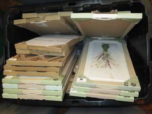 Lot of Wall Decor
