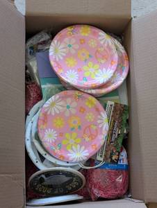 Lot of Party Supplies  (girls & boys)