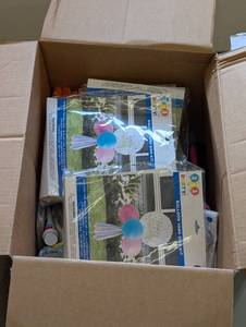Lot of Party Supplies  (girls & boys)