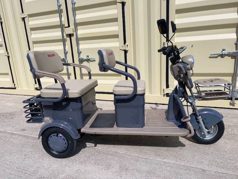 2026 SDLANCH Electric Tricycle Mini Golf Cart (IRGC40) - Purple, MGC40
