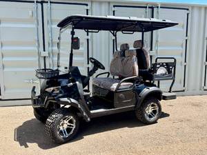 SDLANCH Electric Golf Cart, 4 Person (SDLC80) - Black