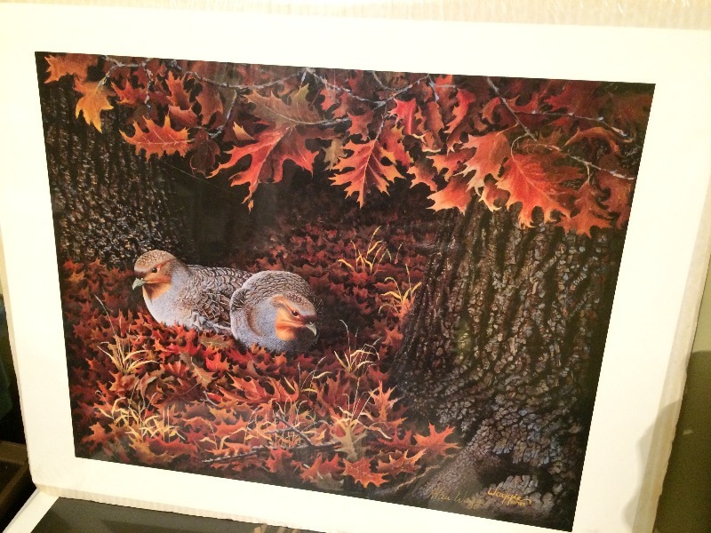 Assorted Wildlife art (prints are sealed and preserved in plastic) Lot of 6 prints