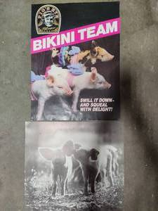 Cute Piggy Posters