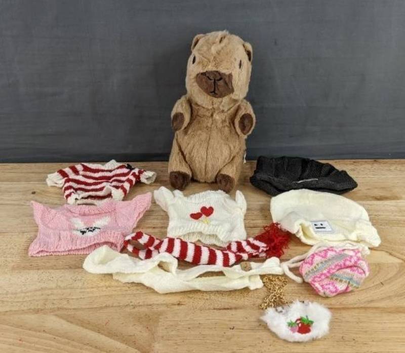 Capybara Plush Toy with Assorted Costumes - Brand New