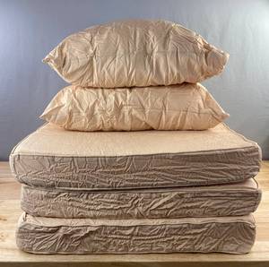 3 Outdoor 24 x 24 Cushions and 2 Outdoor 20 x 14 Pillows - Brand New
