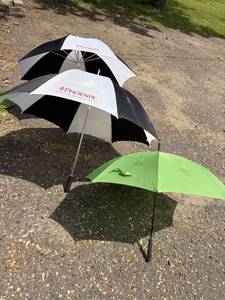 Phoenix Wealth Management Umbrellas and Lime Green Umbrella S