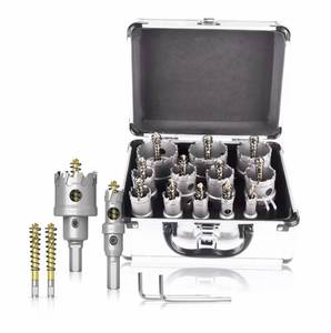 14-Piece Carbide Hole Saw Set With Case, $80 Retail