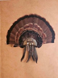 Turkey Feather Wall Fan Display with Tassel Accents