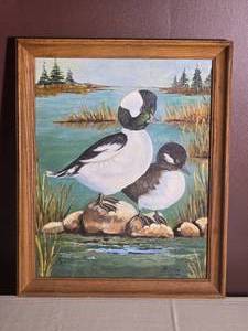 Signed Holmes Framed Duck Wildlife Painting