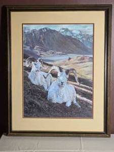 Charles Frace Charon Jetty Mountain Sheep Print 178950