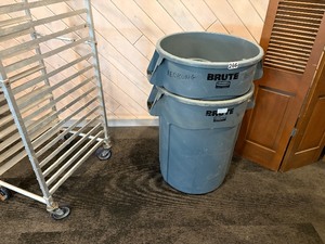2 rubbermaid garbage cans