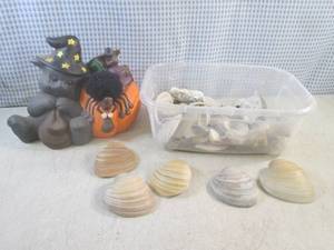 (BR3) Container of Seashells and Ce...