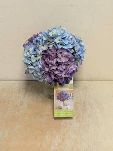 NEW NEARLY NATURAL BLUE HYDRANGEA ARRANGEMENT