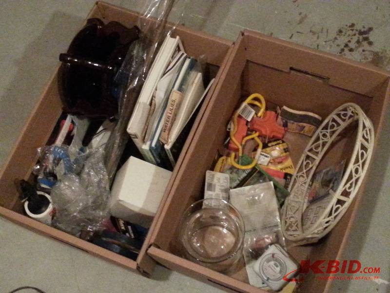 (2) Surprise Boxes