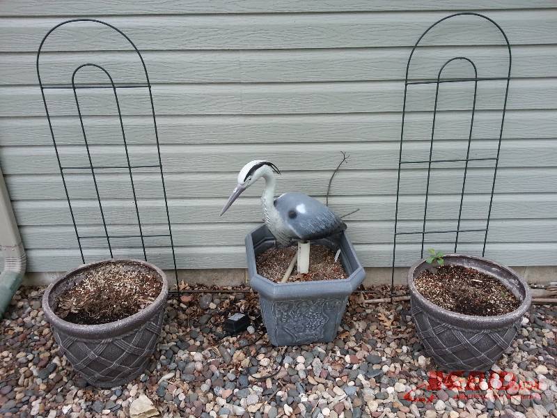 Lot of (3) Planters, (2) Trellises, Heron Ornament