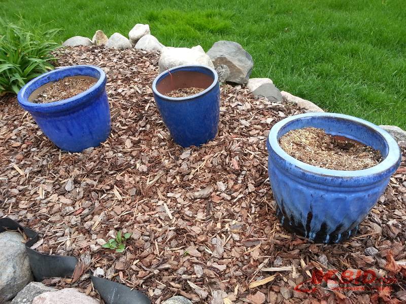 (3) Medium Blue Decorative Ceramic Planter