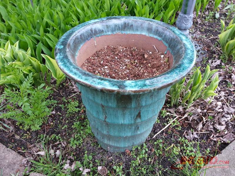 Decorative Ceramic Planter
