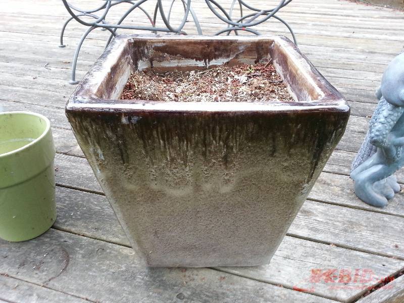 Larger Ceramic Decorative Planter