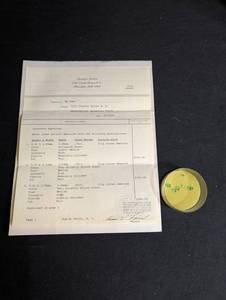 Natural Emeralds With 1981 Appraisal (Lot of 7)