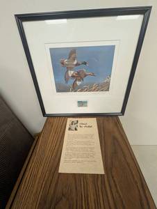 Vintage Richard Plasschaert Federal Duck Stamp Print Signed & Numbered Framed