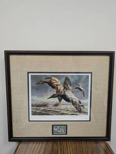 David a. Maass Signed Duck Print 45722,250 Framed