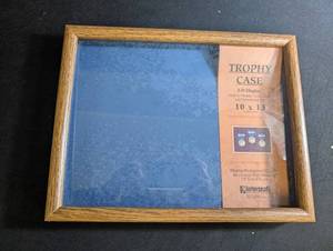 Intercraft Trophy Case 10 X 13 3-D Display