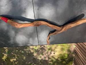Natural Driftwood Branch Sculpture