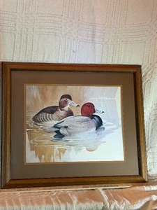 Vintage Framed Duck Lithograph Print - Redhead Ducks by H.F.A. (29 x 25)