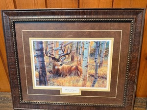 Cynthie Fisher Afternoon Siesta Framed Wildlife Print  Whitetail Buck in Aspen Grove  Custom Double-Matted Frame