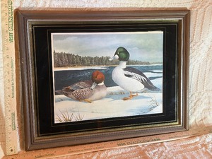 Framed A.J. Rudisill Wildlife Art Print - Common Goldeneye Ducks, 21.5 x 27.5