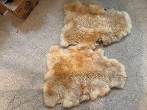 Pair of Natural pelt rugs
