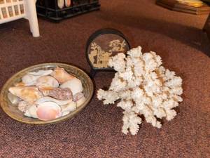 Coastal Decor Lot Coral Specimen Shell Bowl Asian Cork Diorama