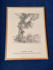 Anna Ticho Olive Tree Israel Museum Collection Framed Art Print