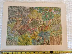 Elizabeth Hopkins Forest Lovers Signed Numbered Art Print 1979