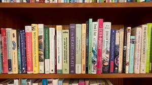 Lot of Vegetarian & Italian Cookbooks Silver Palate Moosewood More