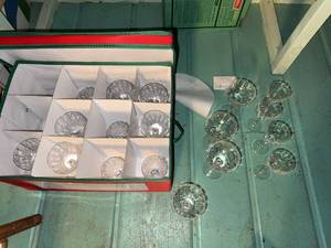 Vintage Etched Stemware Coupe Glasses Set with Fitted Storage Case