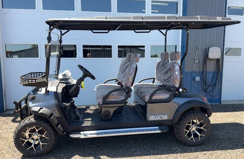SDLANCH Electric Golf Cart with Front Facing 4-Person Seating
