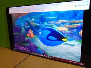 65 Inch TCL  Class S5-Series 4K UHD HDR LED Smart Google TV 65S551G