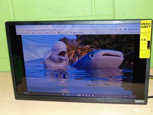 VIZIO 24 Class D-Series FHD LED Smart TV D24f-J09