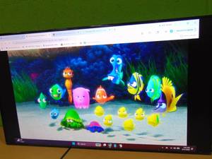 Samsung QMC Series 55 commercial display QM55C