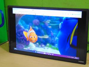 VIZIO 24 Class D-Series FHD LED Smart TV D24f-J09