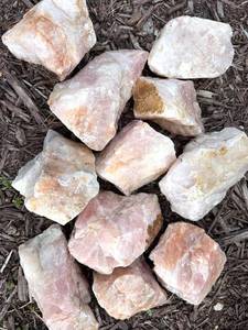 Rose Quartz Rough Stones (Lot of 11)