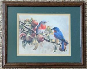 Mike Jackson - Bluebirds - Framed Print