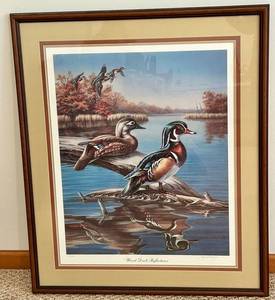 James Meger - Wood Duck Reflections Signed Framed Print