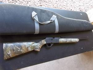 Daiey Powerline 35 Shoots BBs177s With Padded Case