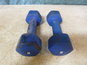 Pair of Hand Weights